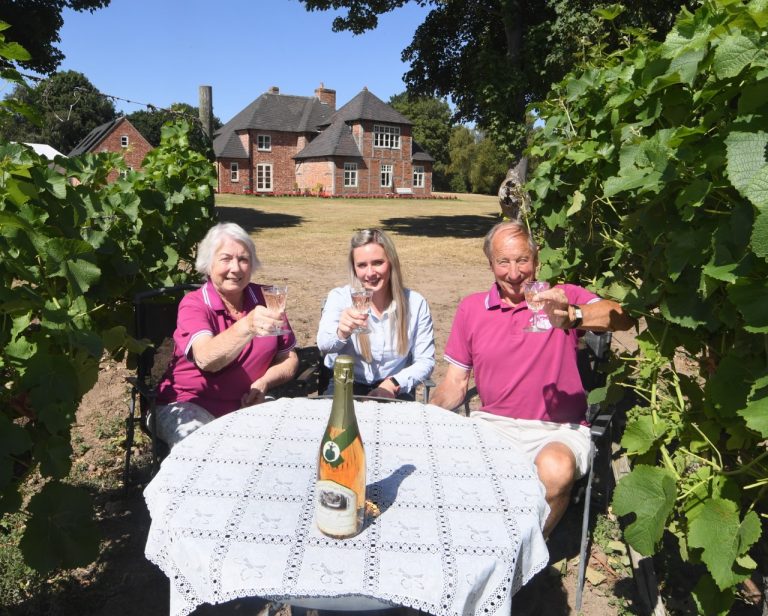 Derbyshire vineyard business to be passed on after 17 years