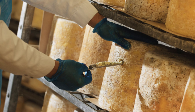 Stilton producer gets share in £12m from Government to cut emissions and energy costs