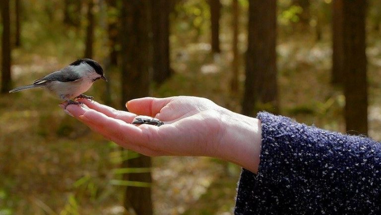 Severn Trent offers funding for ‘shovel-ready’ projects to support nature