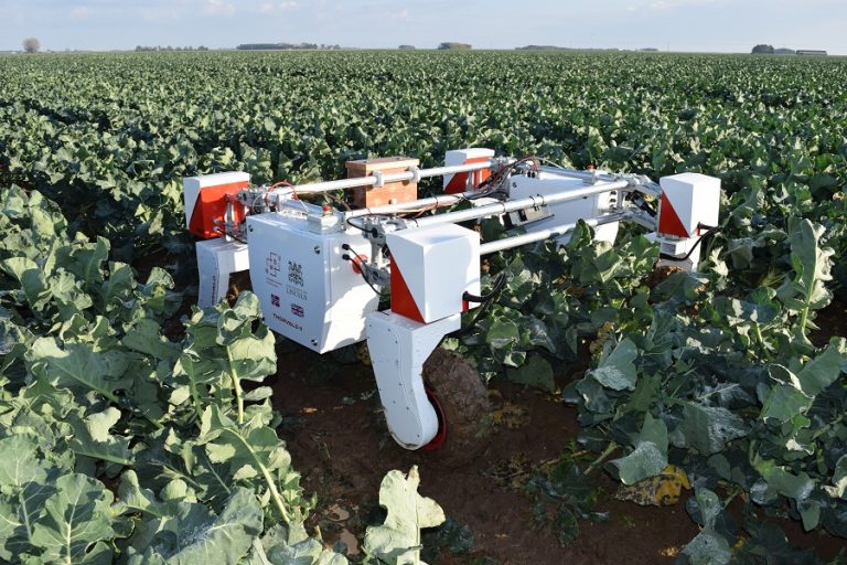 Innovative project launched to accelerate crop harvesting