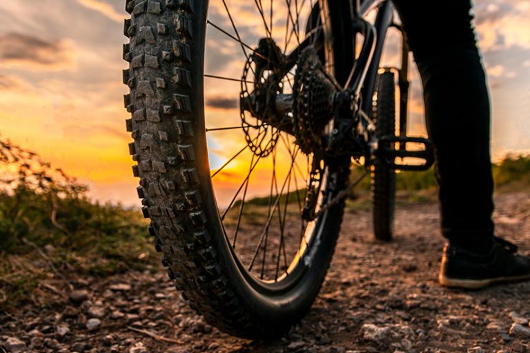 Frasers Group to buy bike retailer’s brand and intellectual property