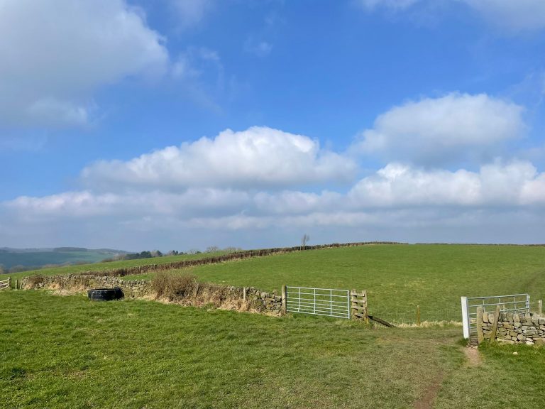 Farm sold to Derbyshire Wildlife Trust in landmark that will support recovery of nature