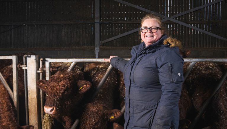 NFU says Farming Recovery Fund is a post-storm washout