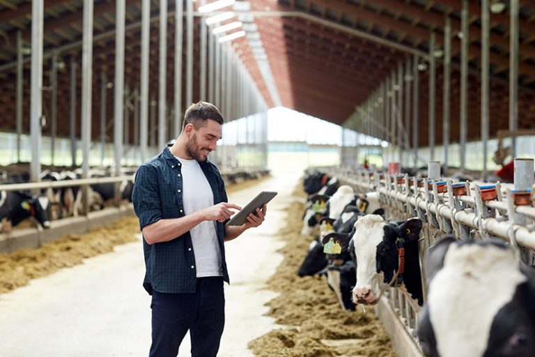 Rural crime proposal aims to tackle theft of farming equipment