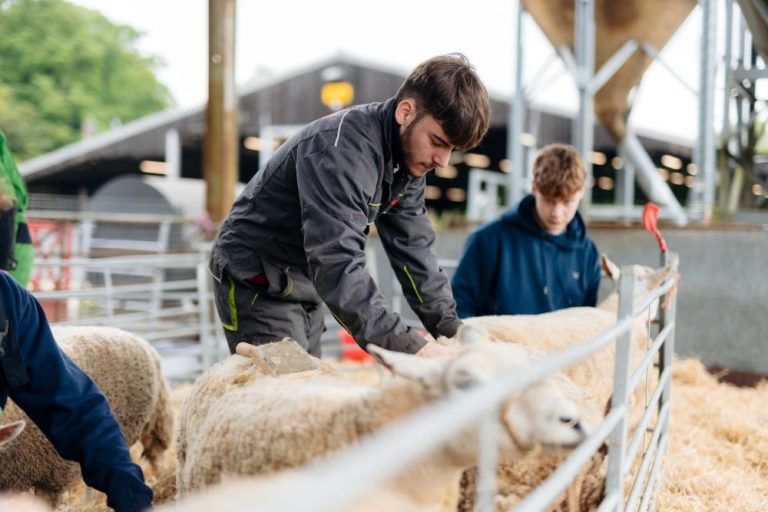 College receives £600k to train skilled agri-food workforce
