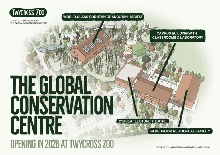 UK government backs £25m conservation hub at Twycross Zoo