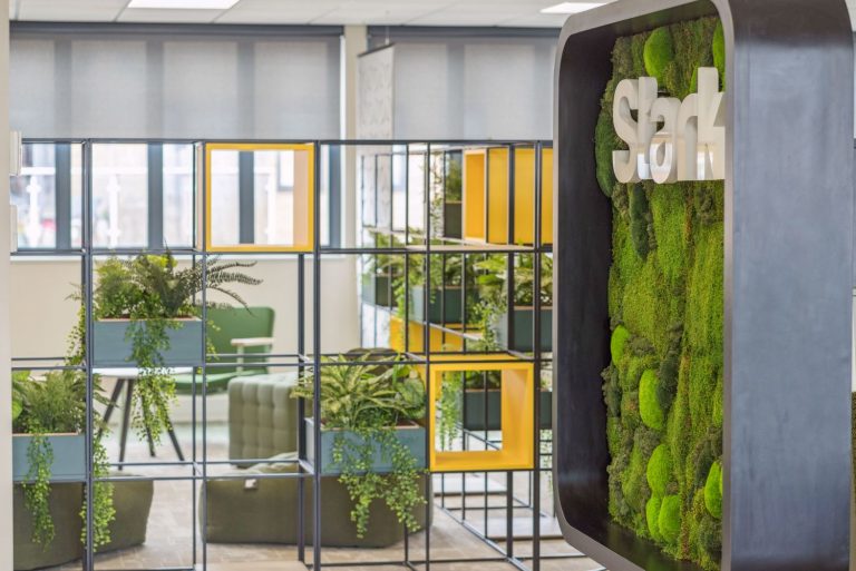 Proici Commercial Interiors bring nature into the office to boost productivity